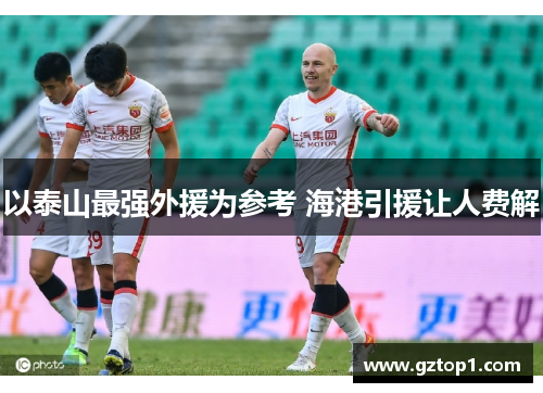以泰山最强外援为参考 海港引援让人费解